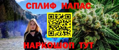 гидропоника Гусиноозёрск