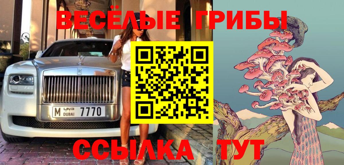 Галлюциногенные грибы Cubensis  Вход с VPN  Нальчик 