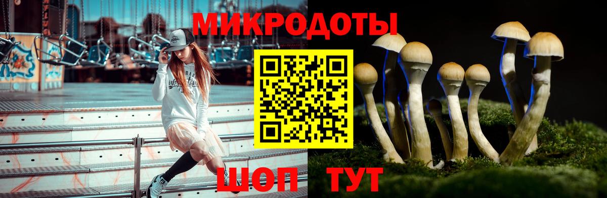 Галлюциногенные грибы ЛСД Нальчик